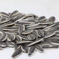 601 long size Sunflower Seed specification